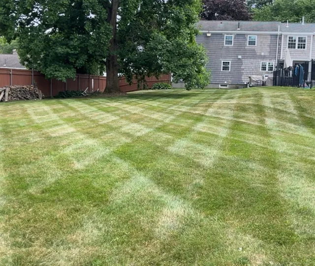 Drew's Landscaping work photo