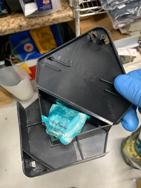 Boston Best Pest Control work photo