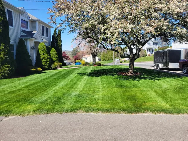 Luis & Son, LLC work photo