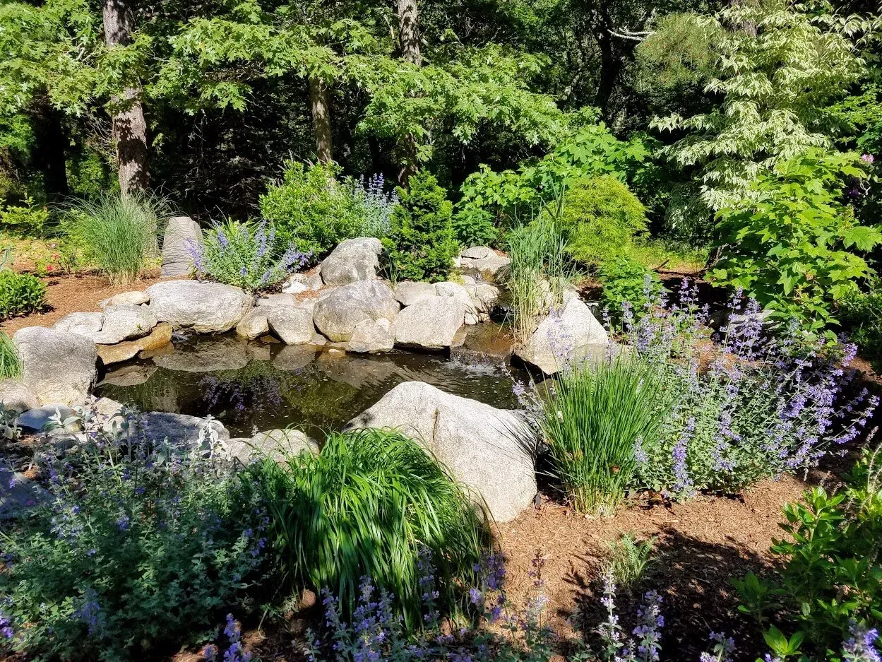 Water Features