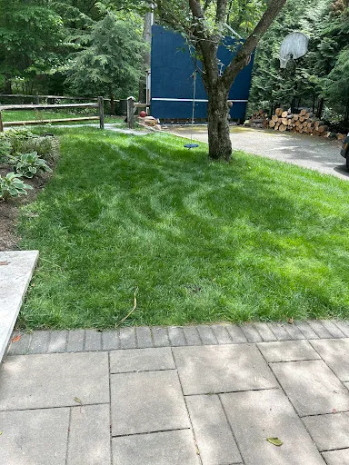 Lawn Doctor of Fairfield County and Westchester County work photo