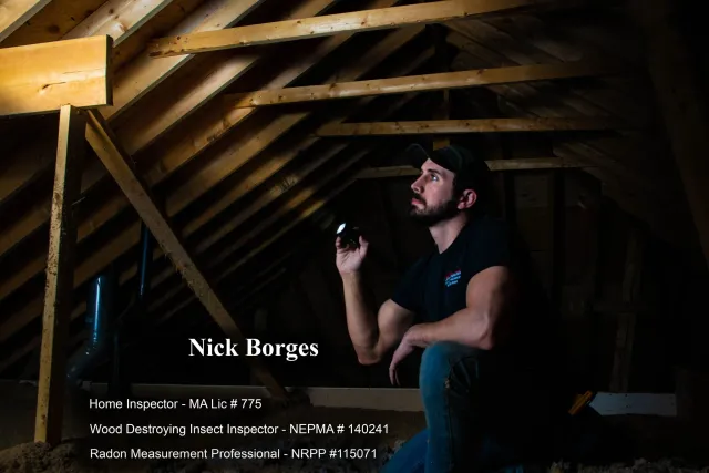 work photo from borgeshomeinspections.com