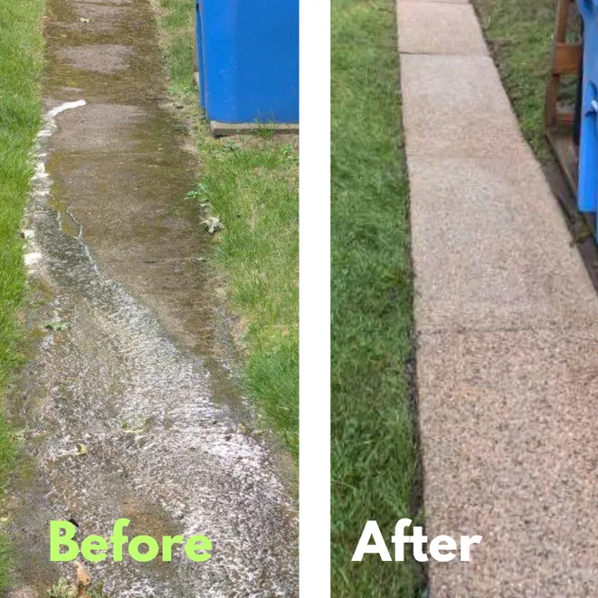 before and after removal of moss and mildew from walkway in Belmont