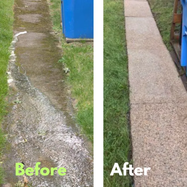 before and after removal of moss and mildew from walkway in Belmont
