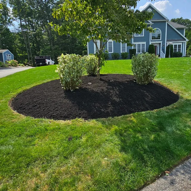 Scott B's Lawn Service work photo