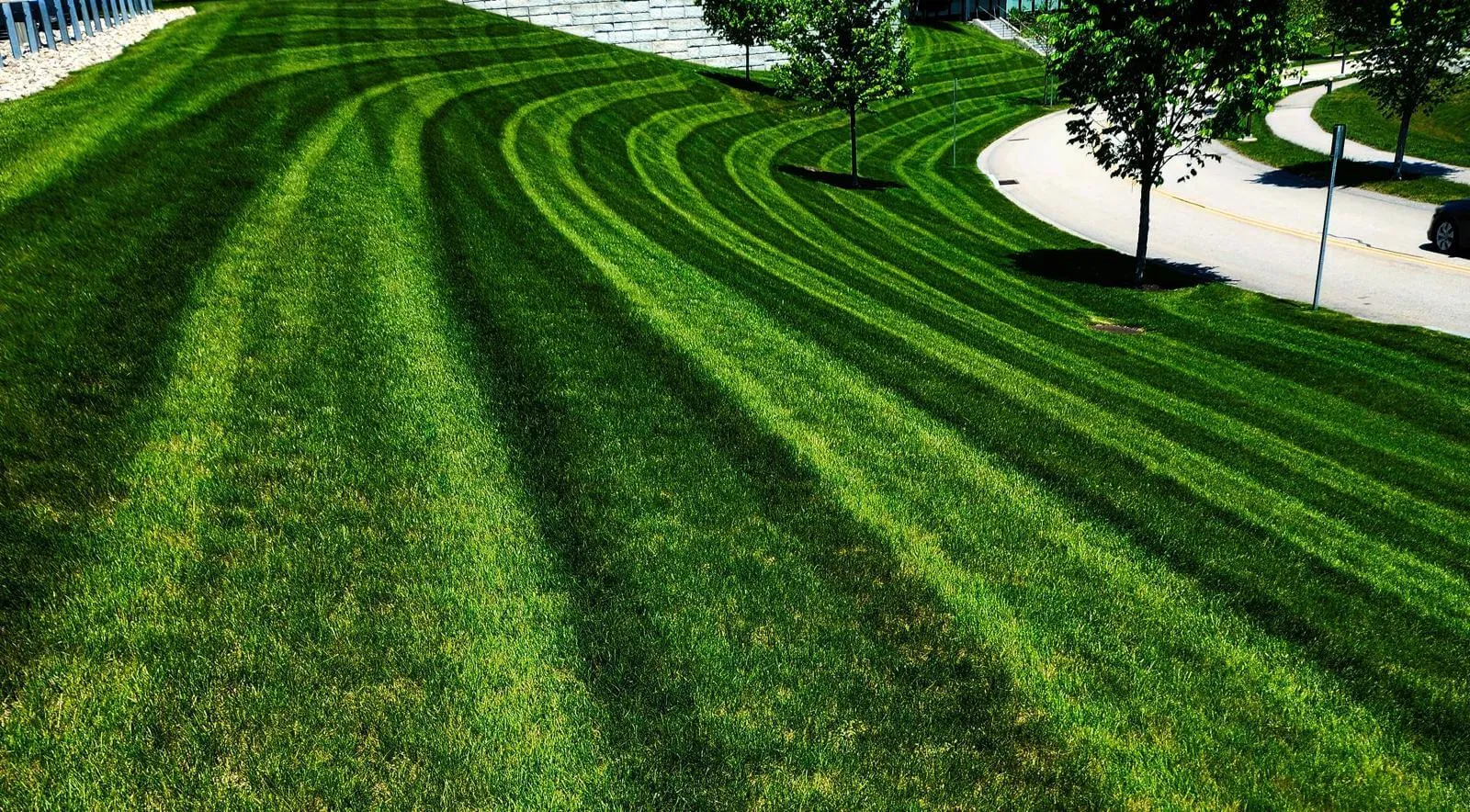 work photo from olmoslandscaping.com