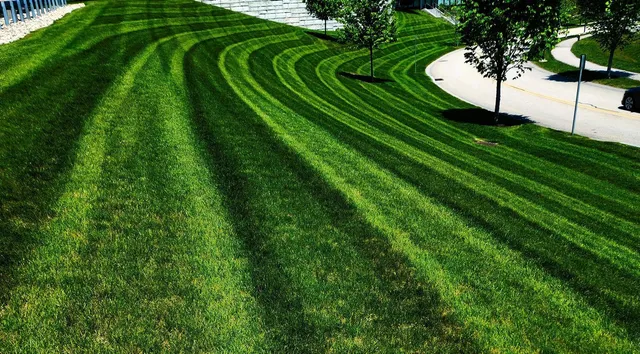 work photo from olmoslandscaping.com