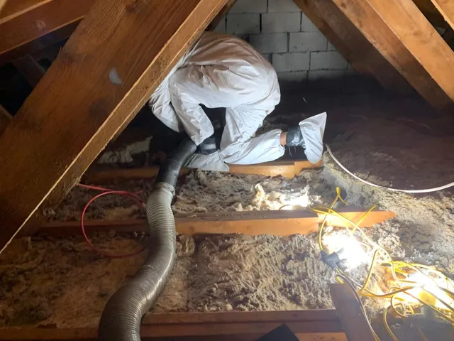 Mowatt Mold Removal LLC work photo