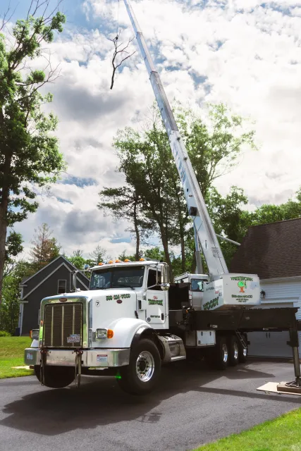 A white tree service truck with an extended crane lifting a tree branch in a residential neighborhood.