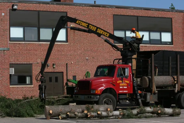 work photo from atomictreeserviceinc.com