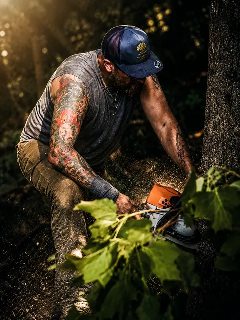 Tree care project by Yatsinko Tree Service in Fairfield County, CT