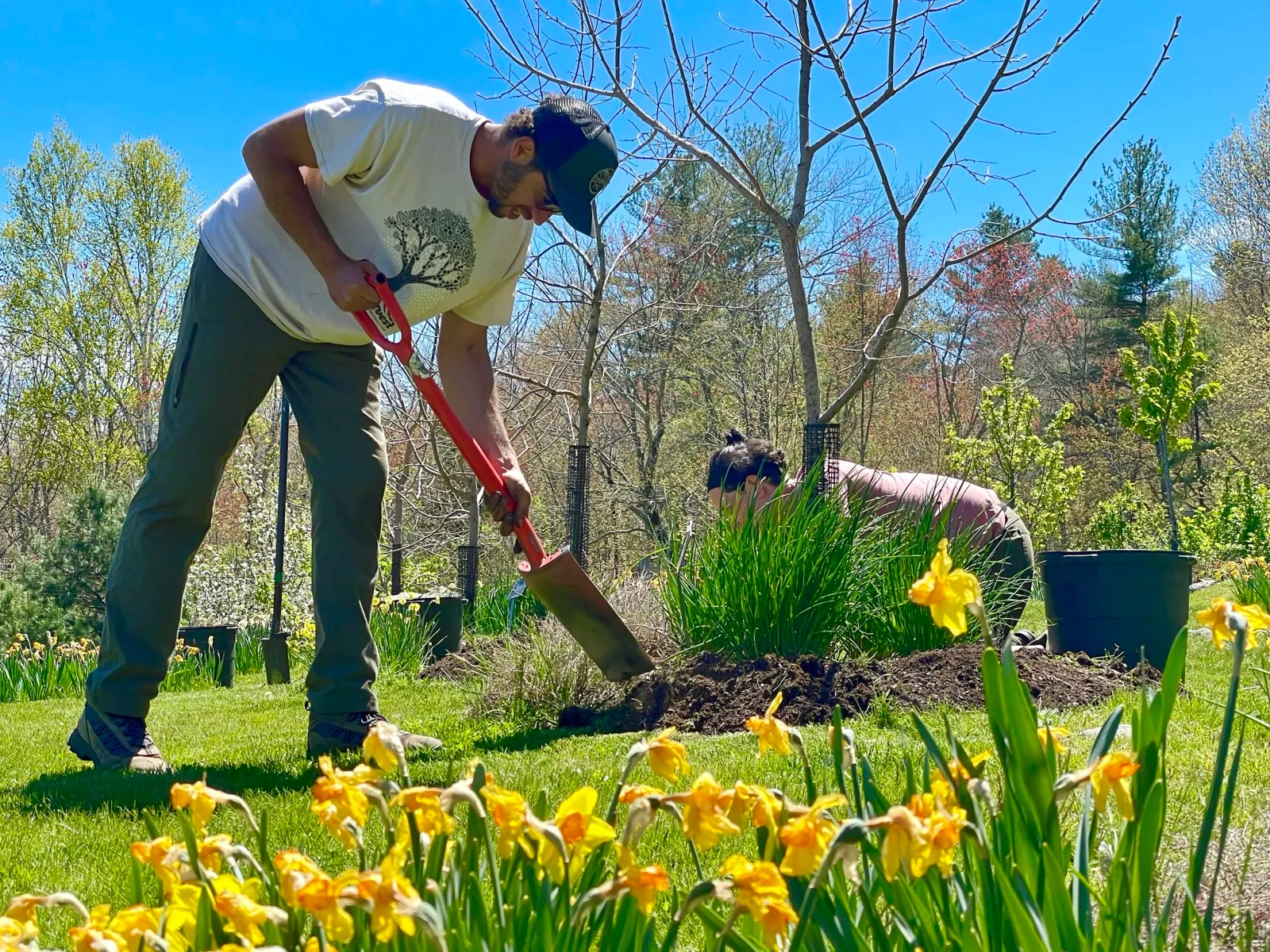 Planting Garden