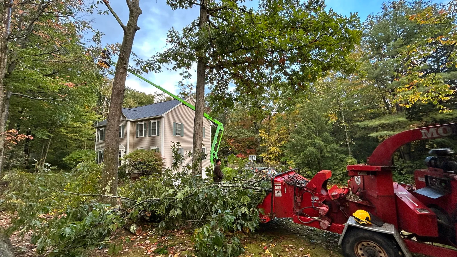 work photo from Google listing