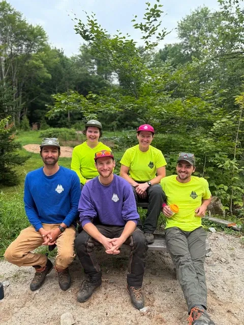 work photo from dirigotreeservice.com