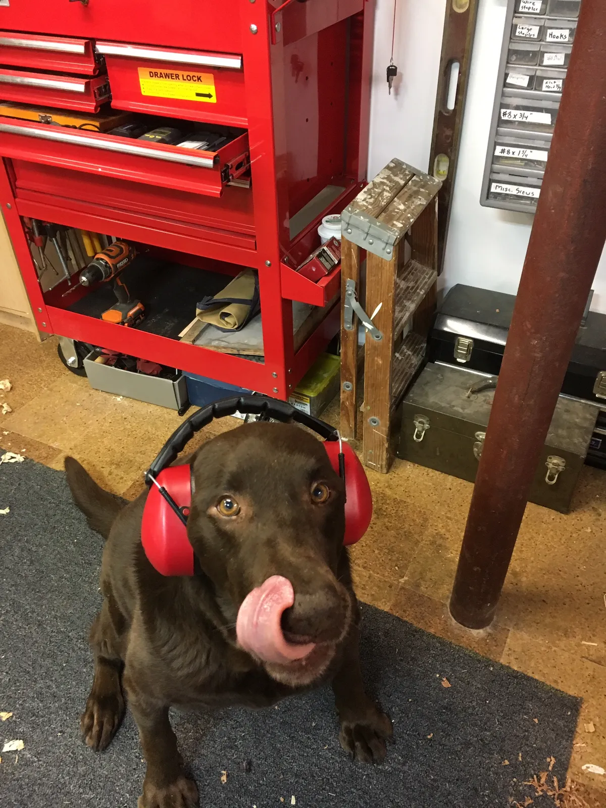 work photo from Google listing