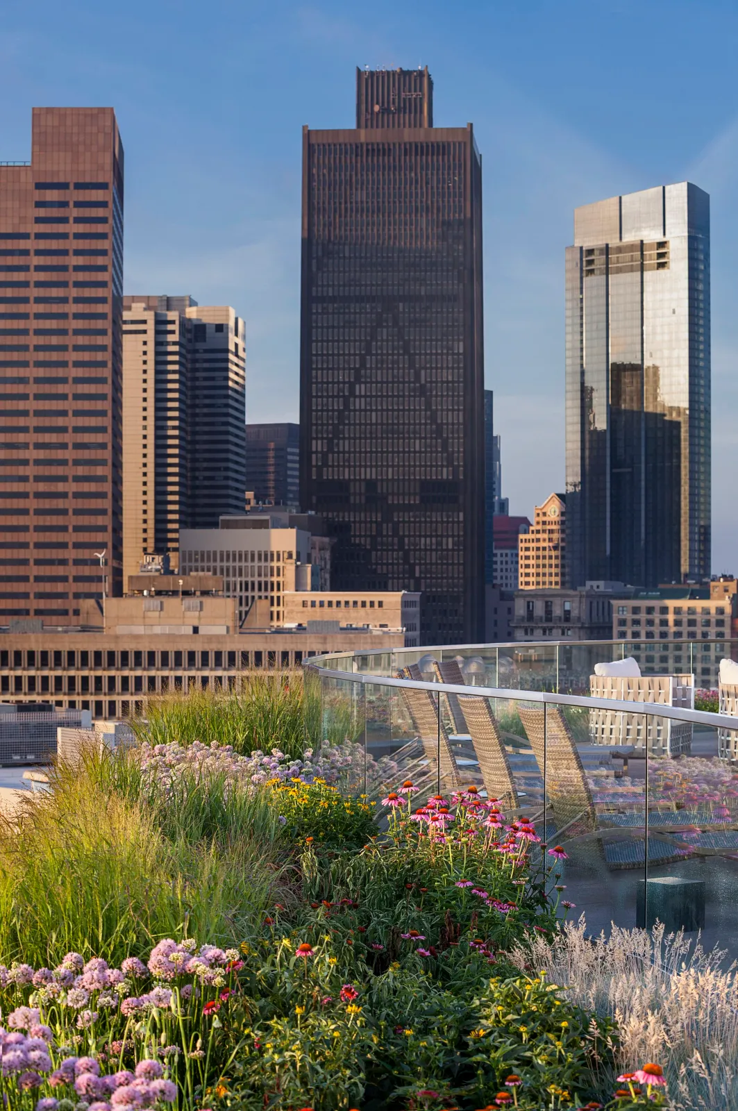 Rooftop garden with colorful flowers and a city skyline in the background during daytime.