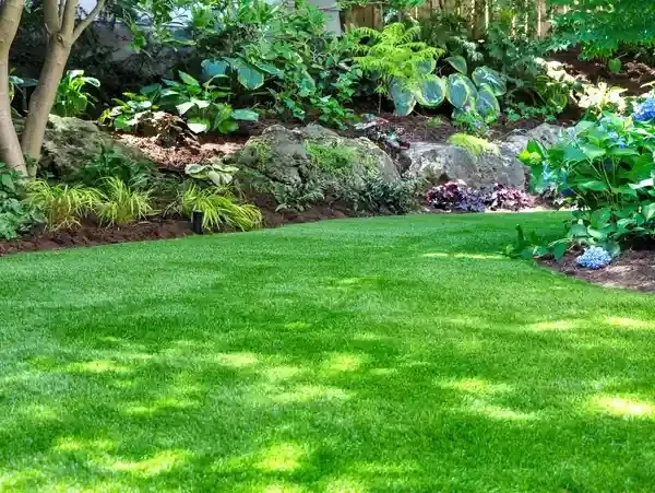 Surrounding's Landscaping work photo