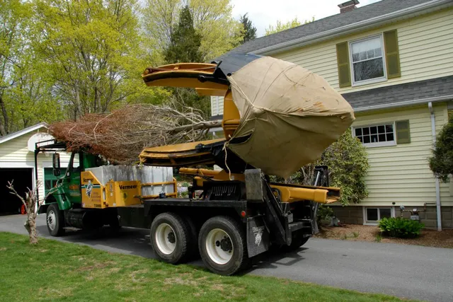 Acorn Tree & Landscaping inc. researched project photo