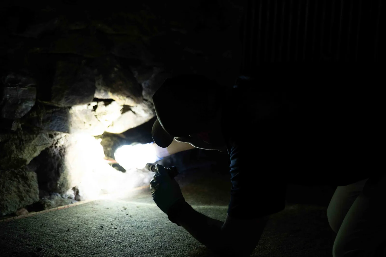 work photo from protechpestcontrol.com
