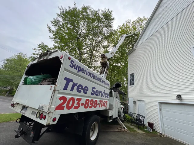 Superior Arbor Care work photo