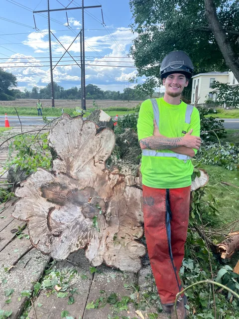 New Beginnings Tree Service LLC work photo