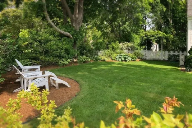 A lush green backyard with three white wooden lounge chairs on a mulch bed, surrounded by bushes, trees, and a white picket fence.