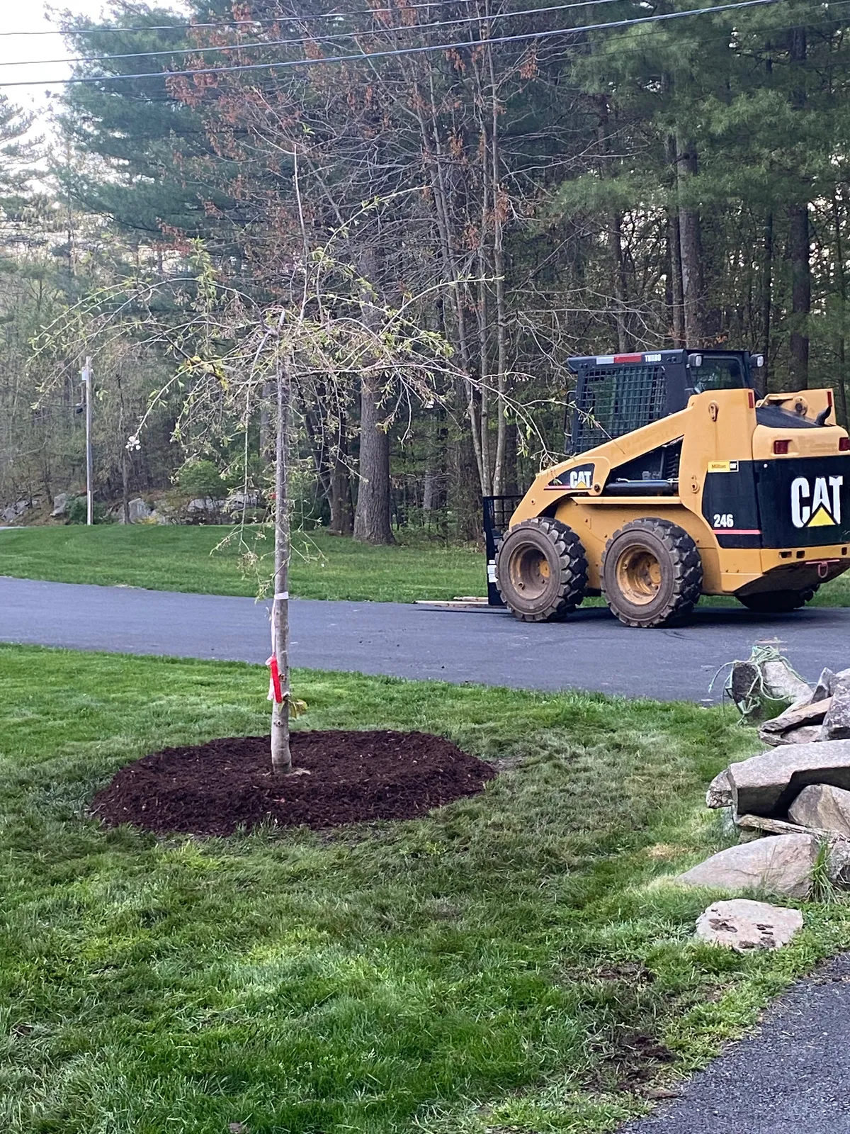 work photo from Google listing