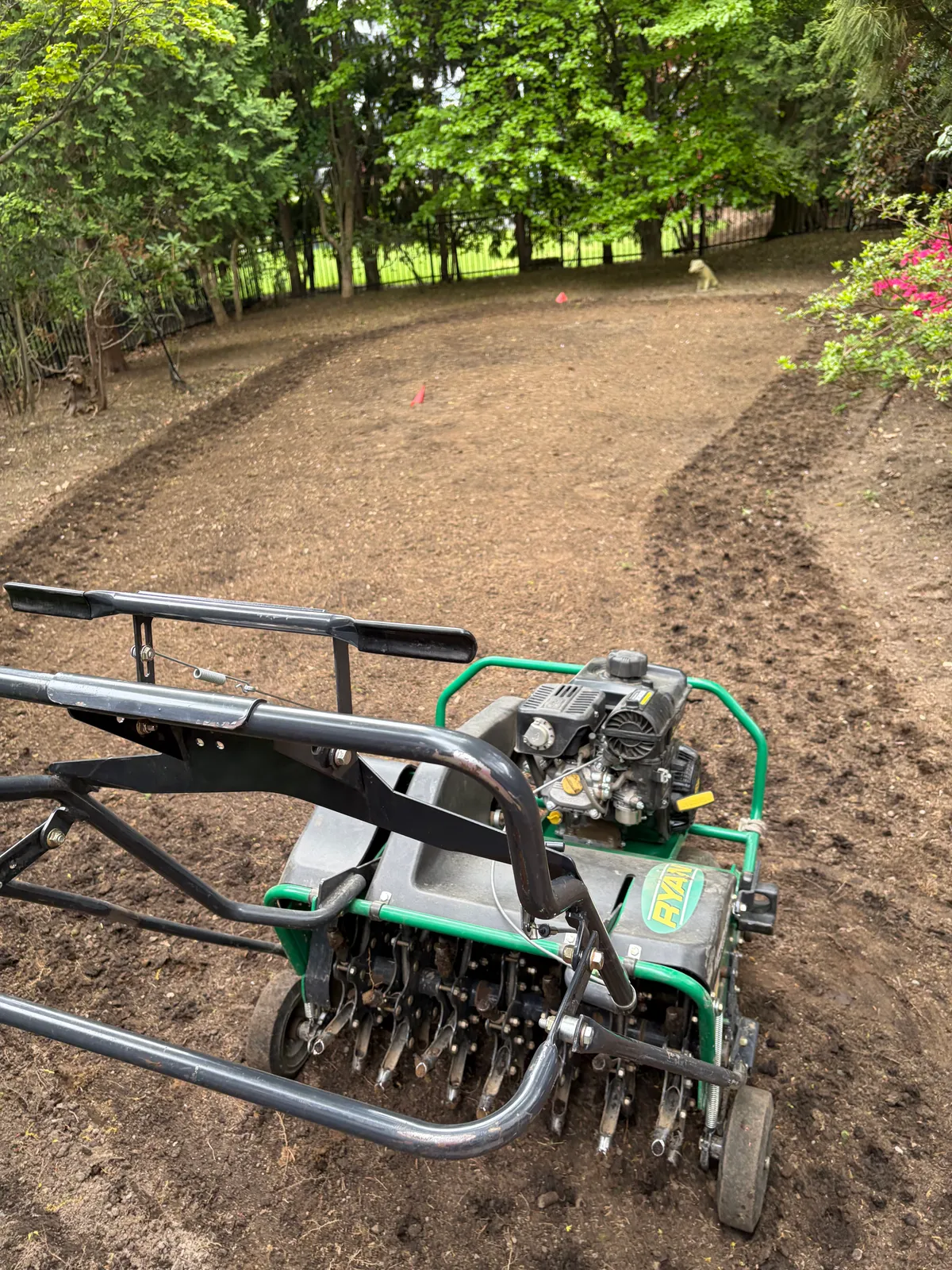 work photo from Google listing