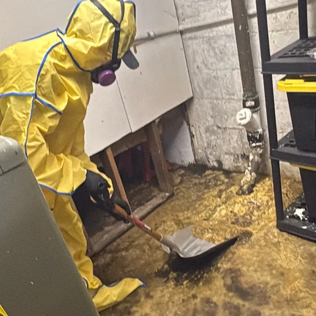 work photo from ercolanocleaningrestoration.com