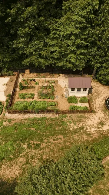 Overhead view of the kitchen garden and shed