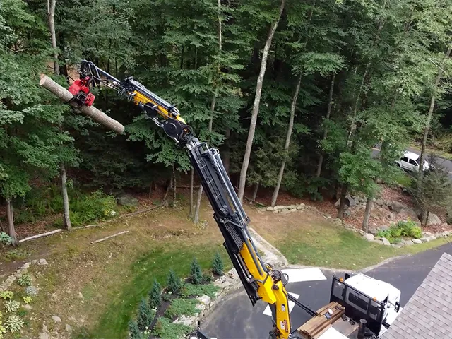 work photo from krohnkutztree.com