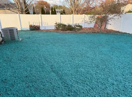 Seeding