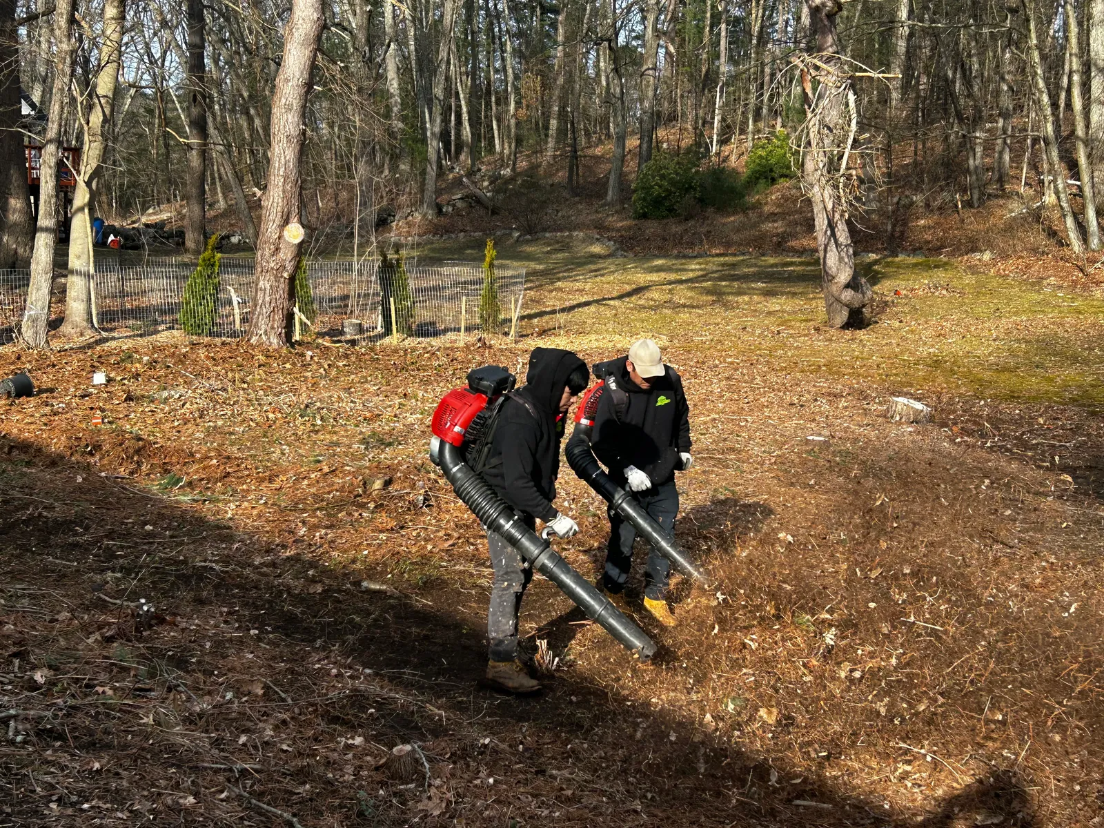 work photo from Google listing