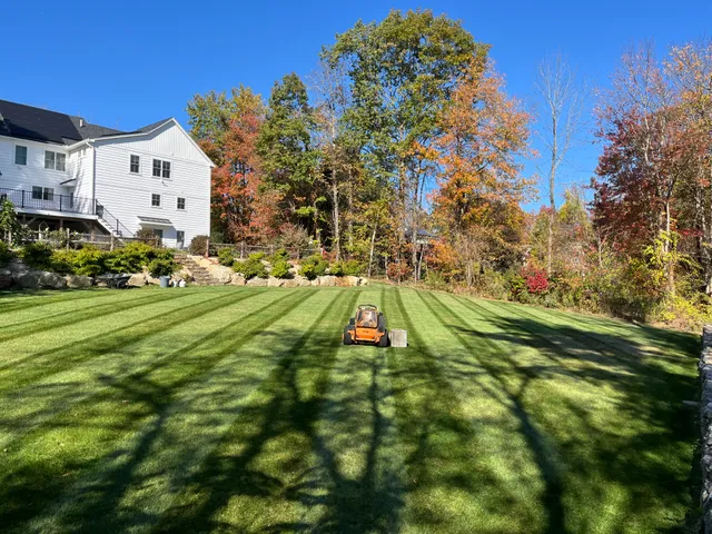 Reno Brothers Lawn Care work photo