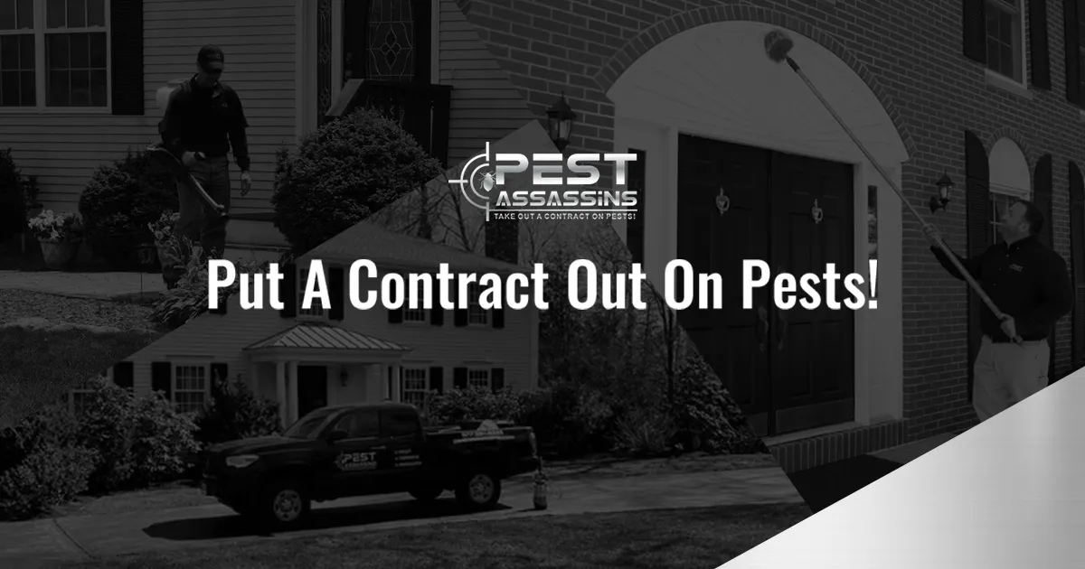 work photo from pestassassins.com