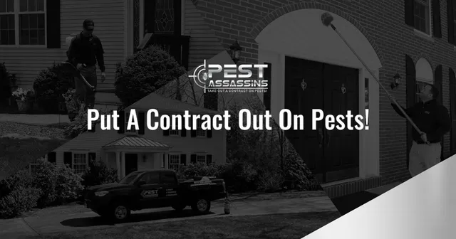 work photo from pestassassins.com