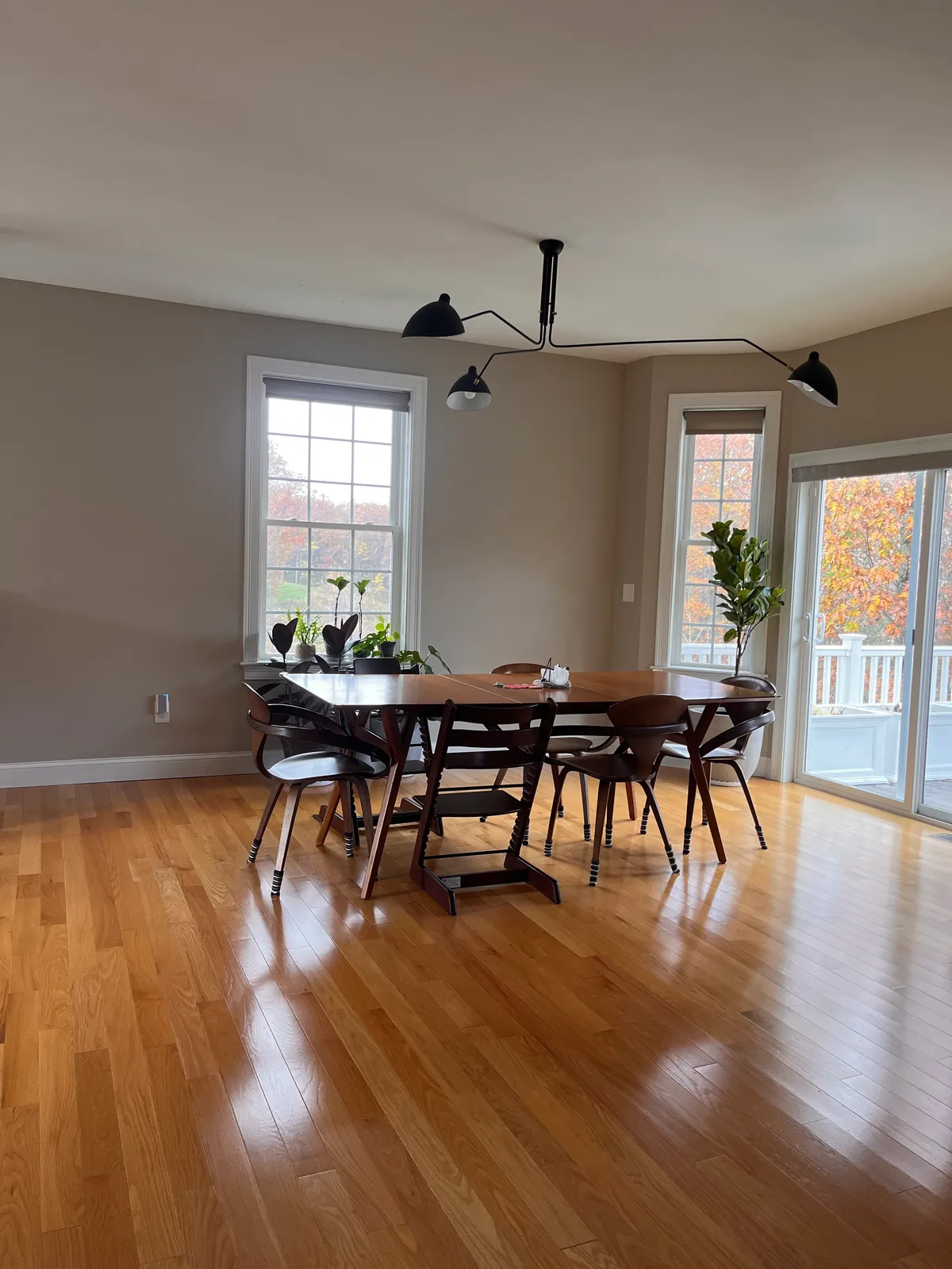 Morell’s Cleaning services researched project photo