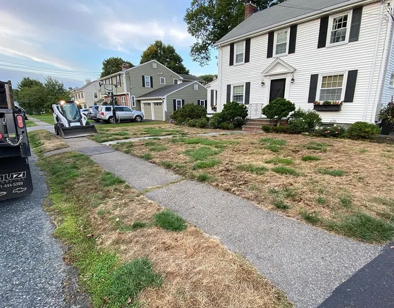 Lawn Replacement Before
