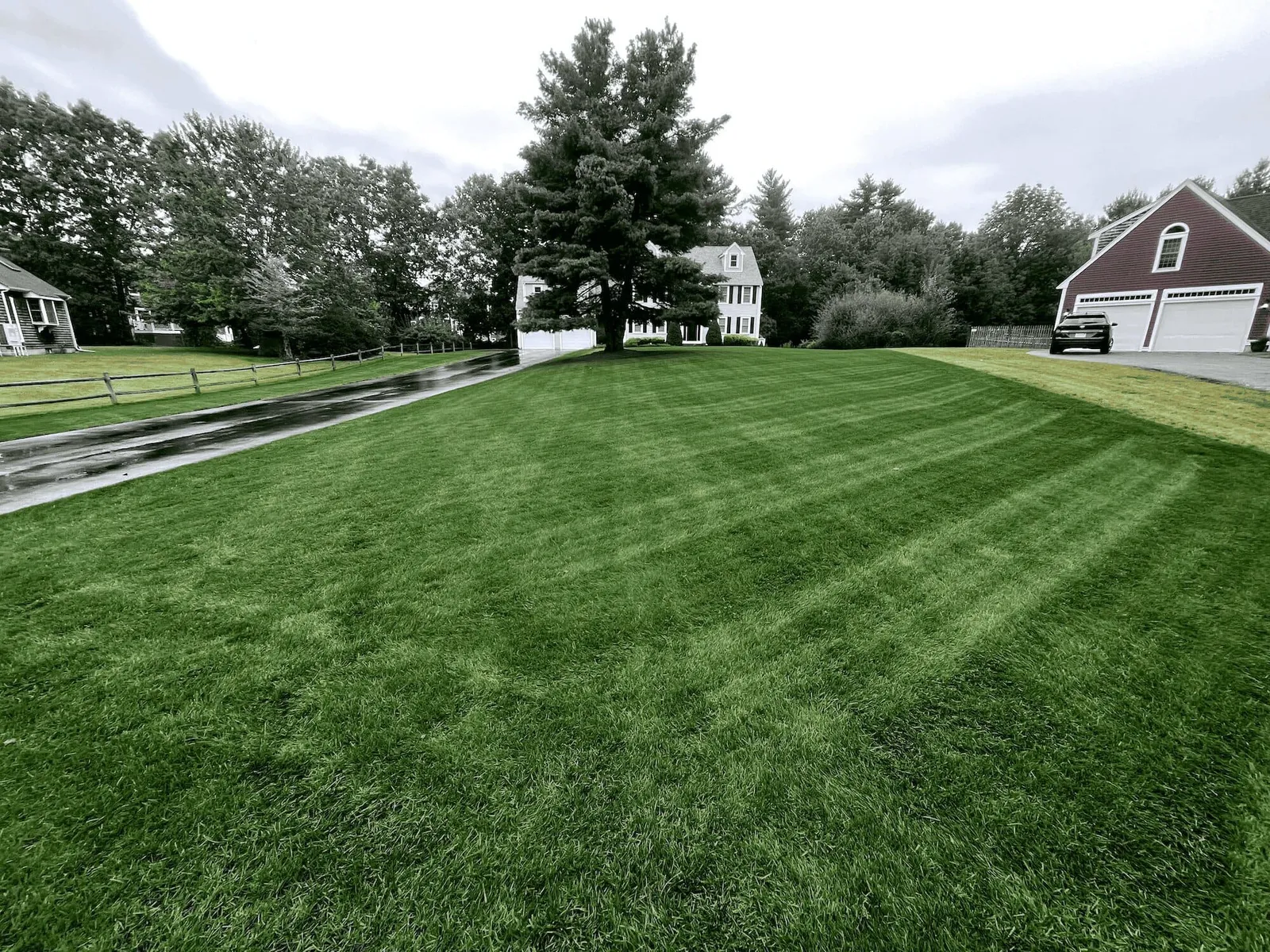 Mighty Lawn Banner