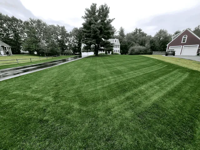 Mighty Lawn Banner