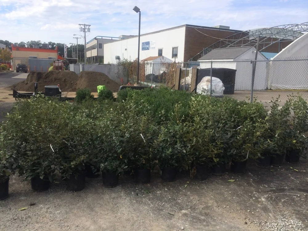 work photo from salcorplandscaping.com