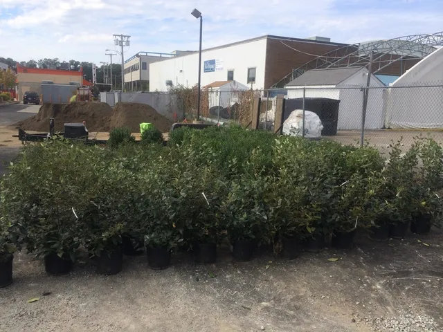 work photo from salcorplandscaping.com