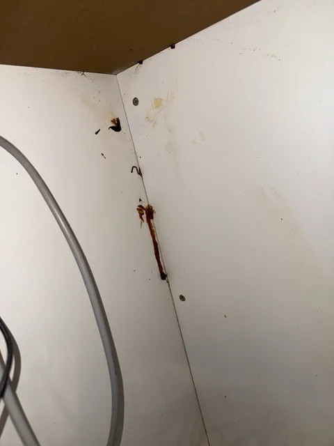 Cockroach or pest marking inspection inside cabinet seam