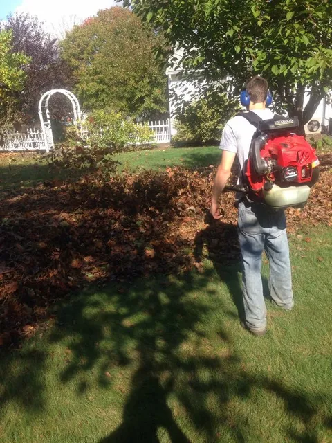 The Lawn Ranger researched project photo