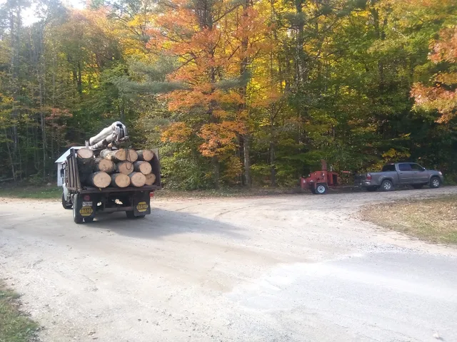 A@M Quality Tree Service work photo