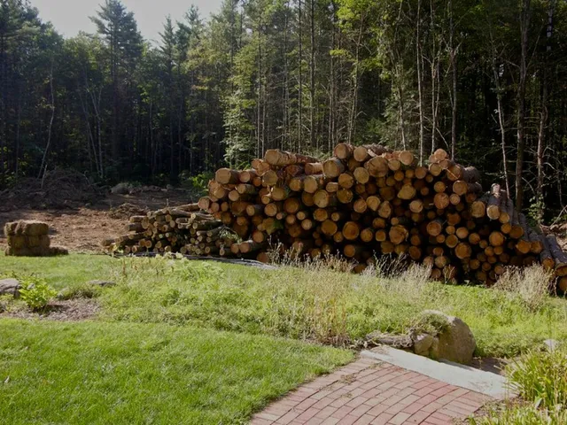 Brush Clearing