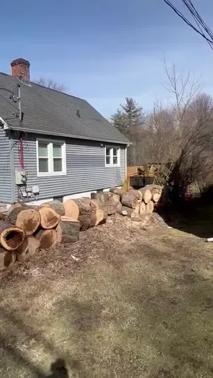 work photo from hdtreeservicesandlandscaping.com