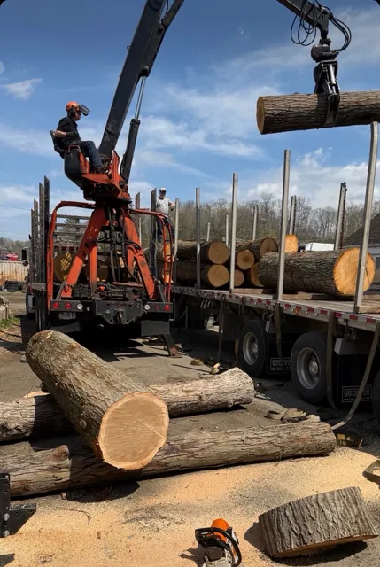 Christian Tree Service LLC work photo