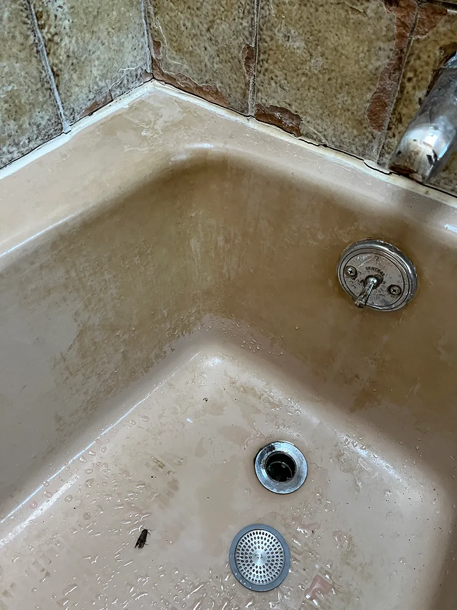 Scarlet Household Services House Cleaning Decluttering Pittsfield MA 1