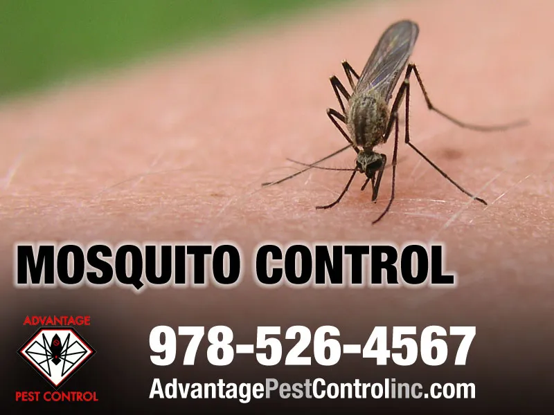 Advantage Pest Control, Inc
